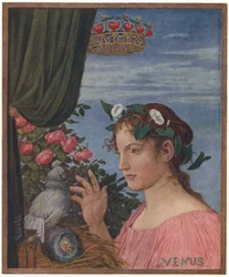 Venere